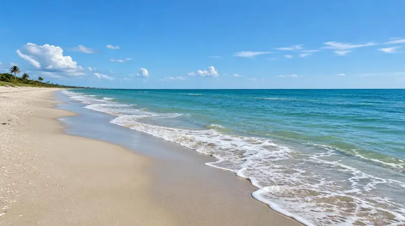 Sunny Florida beach with turquoise Atlantic waves, white sand and distant palms