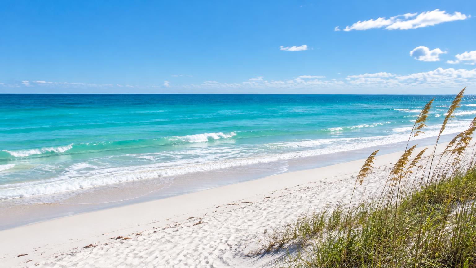 Turquoise Atlantic waves along a sunny Florida beach with dune sea oats