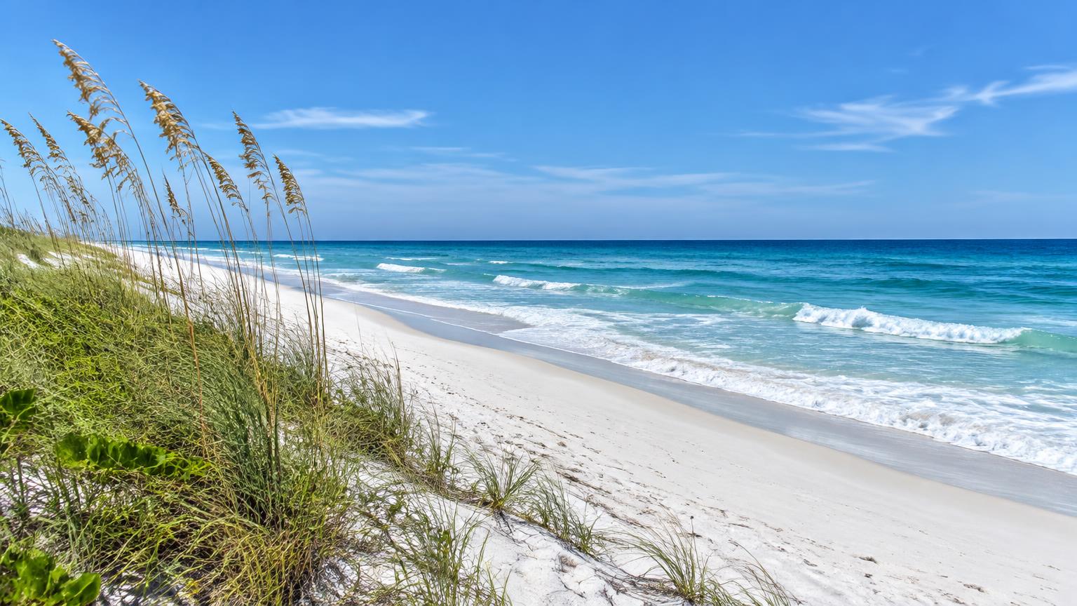 Sunny Florida Atlantic beach with sea oats and gentle surf